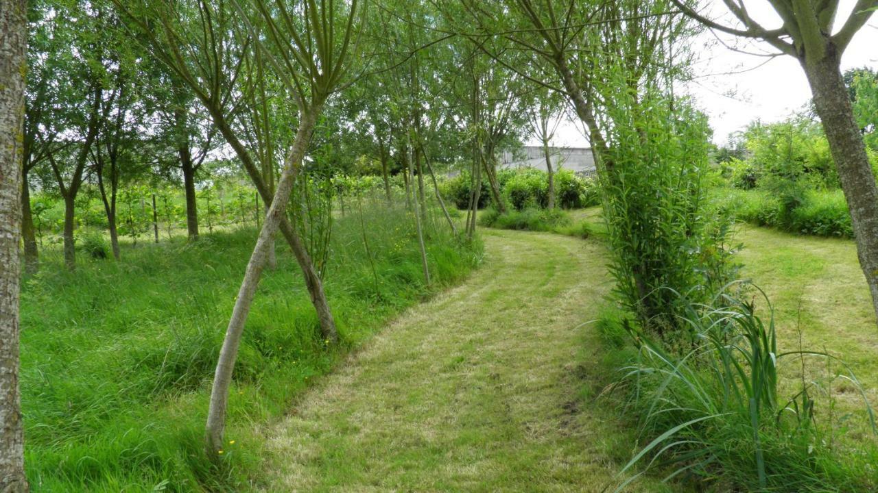 Le Logis De La Mesanchere Hotel Apremont  Eksteriør billede